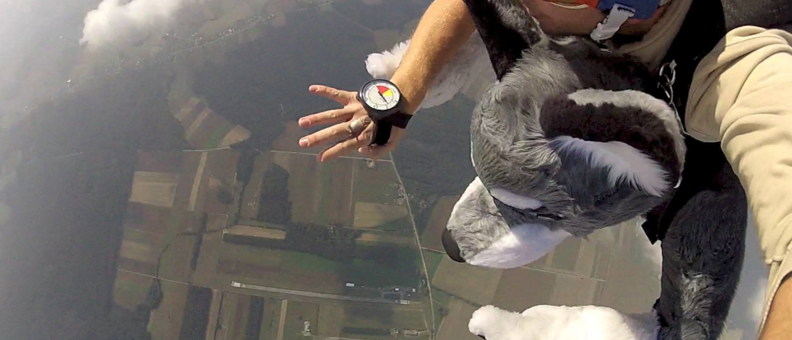 10557036_880290135324848_7549785598282266520_o