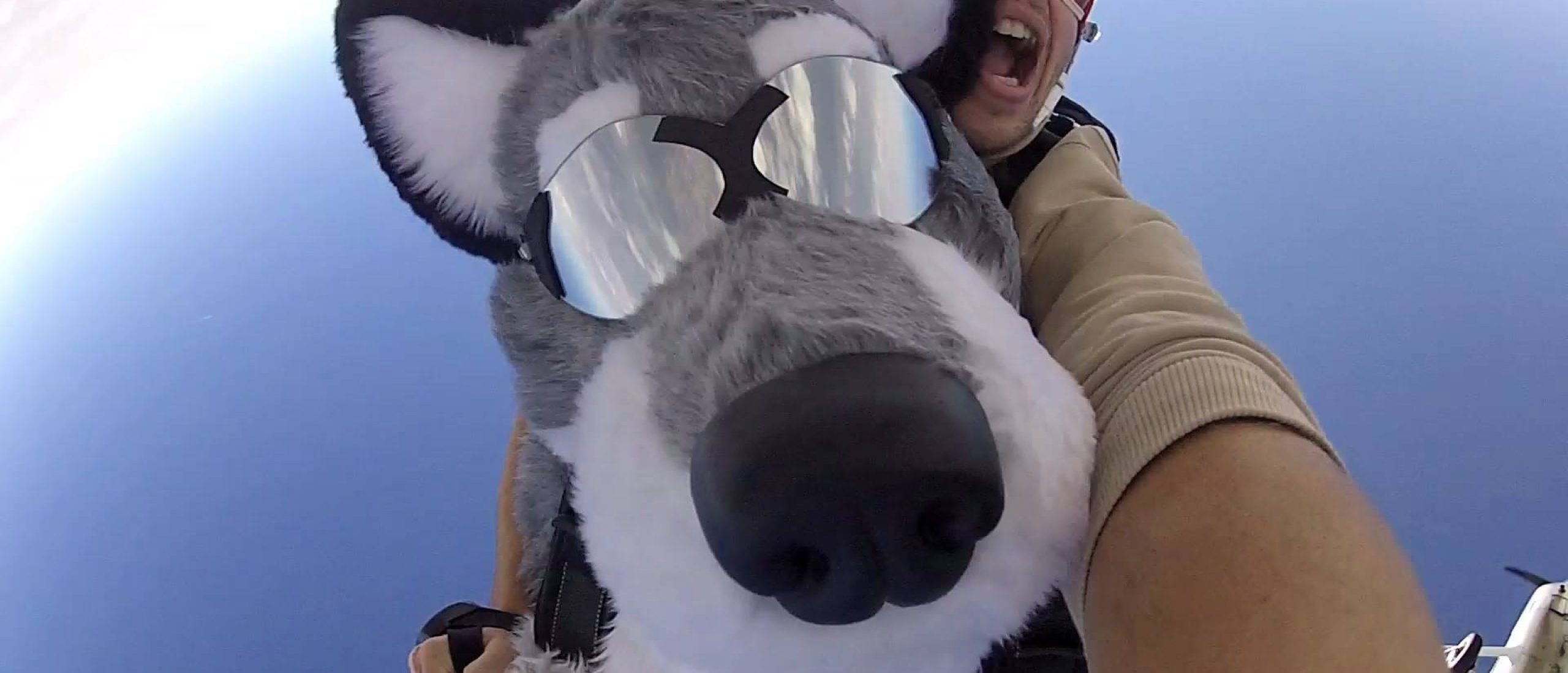 10830543_880290001991528_7001011236774496449_o